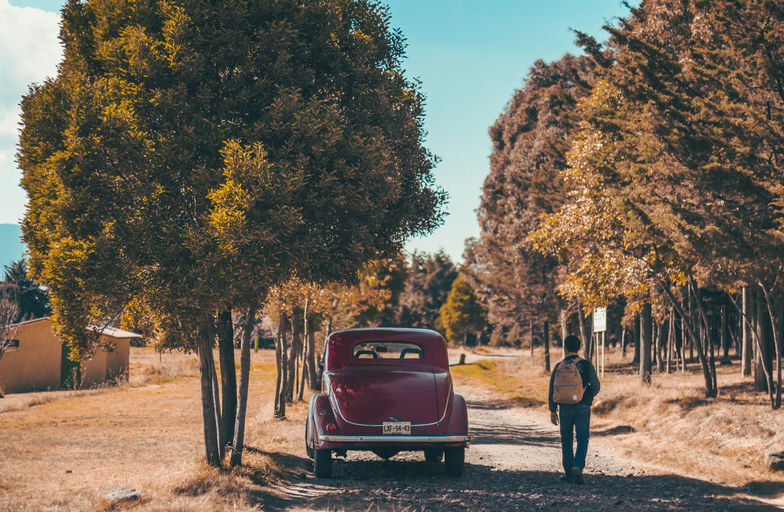 Écran connecté moderne dans un véhicule affichant diverses fonctionnalités de navigation, de divertissement et de connectivité, mettant en évidence les innovations technologiques et les tendances dans le secteur automobile.